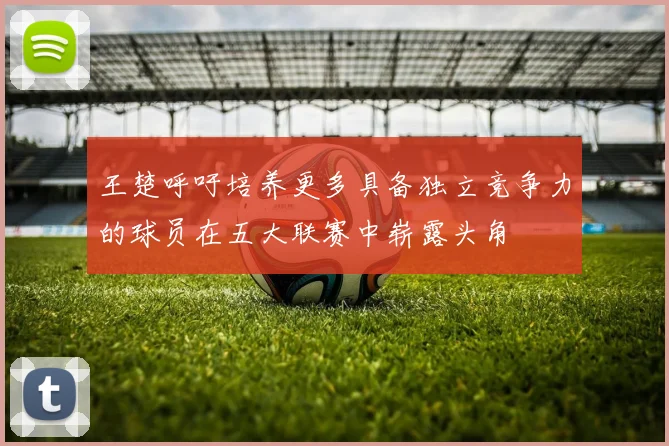 王楚呼吁培养更多具备独立竞争力的球员在五大联赛中崭露头角