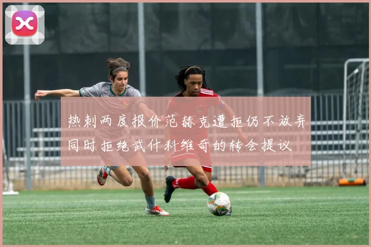 热刺两度报价范赫克遭拒仍不放弃同时拒绝武什科维奇的转会提议