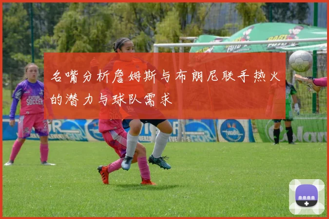 名嘴分析詹姆斯与布朗尼联手热火的潜力与球队需求